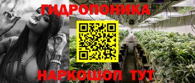 PSILOCYBIN Волгодонск