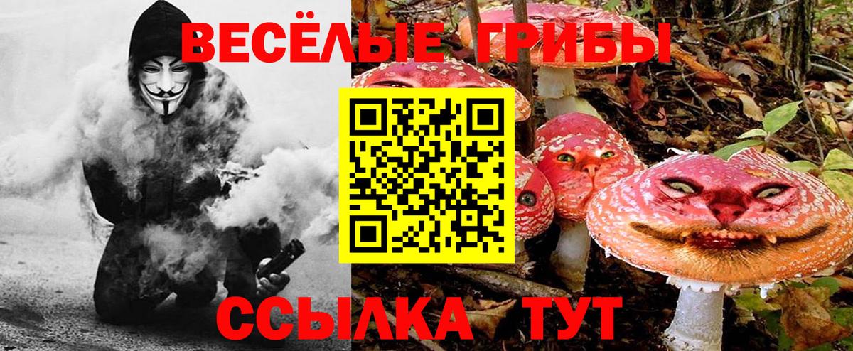 Галлюциногенные грибы прущие грибы Черняховск