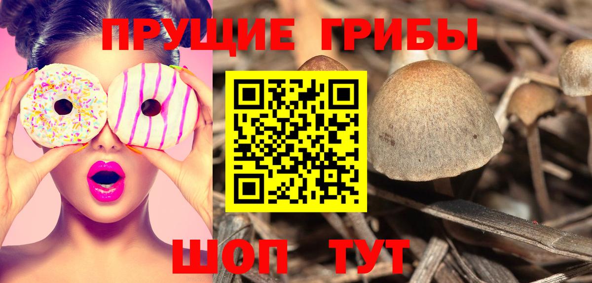 Галлюциногенные грибы мицелий  Галлюциногенные грибы Psilocybe  Черняховск  Вход с VPN 